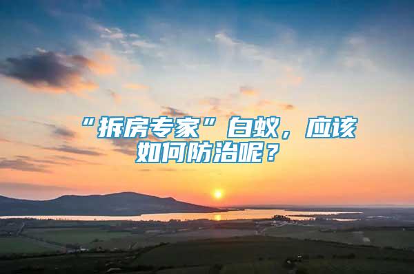 “拆房專家”白蟻，應(yīng)該如何防治呢？