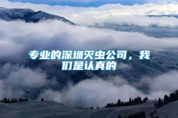 專業(yè)的深圳滅蟲公司，我們是認真的
