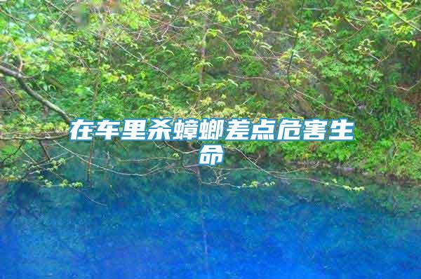 在車里殺蟑螂差點危害生命