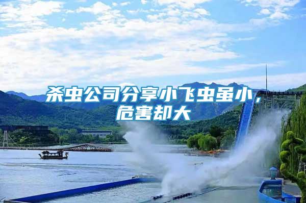 殺蟲公司分享小飛蟲雖小，危害卻大