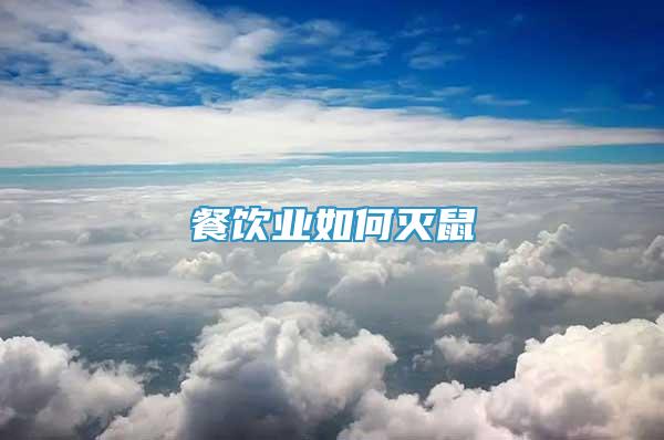 餐飲業(yè)如何滅鼠