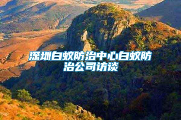深圳白蟻防治中心白蟻防治公司訪談