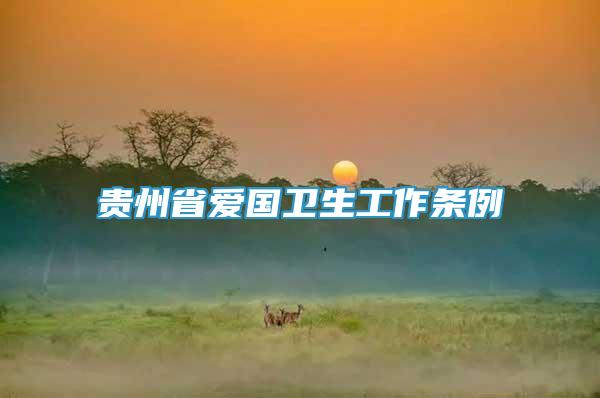 貴州省愛(ài)國(guó)衛(wèi)生工作條例