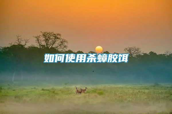 如何使用殺蟑膠餌