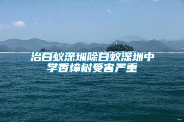 治白蟻深圳除白蟻深圳中學(xué)香樟樹受害嚴(yán)重