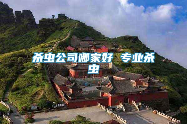 殺蟲公司哪家好 專業(yè)殺蟲