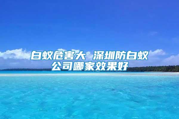 白蟻危害大 深圳防白蟻公司哪家效果好
