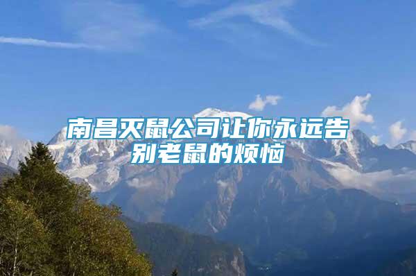 南昌滅鼠公司讓你永遠告別老鼠的煩惱