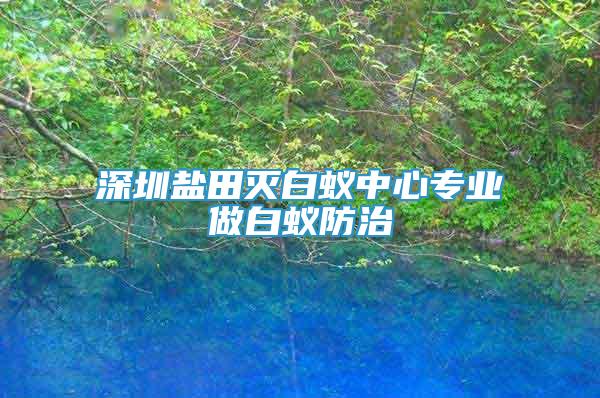 深圳鹽田滅白蟻中心專業(yè)做白蟻防治
