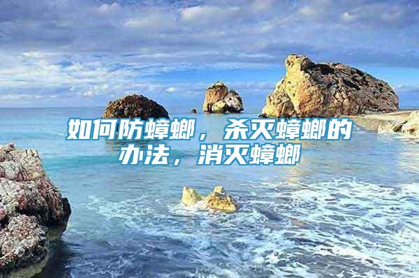 如何防蟑螂，殺滅蟑螂的辦法，消滅蟑螂