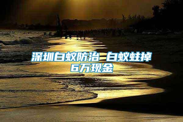 深圳白蟻防治 白蟻蛀掉6萬現(xiàn)金