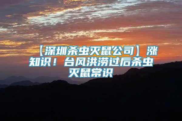 【深圳殺蟲滅鼠公司】漲知識！臺風(fēng)洪澇過后殺蟲滅鼠常識