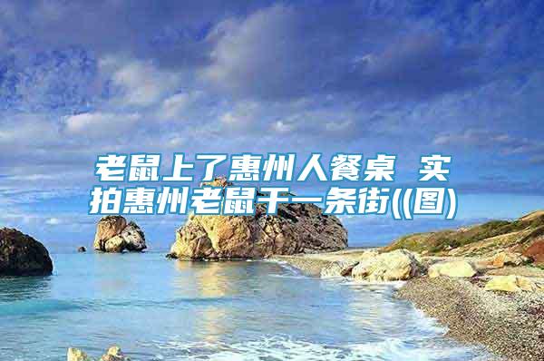 老鼠上了惠州人餐桌 實(shí)拍惠州老鼠干一條街((圖)