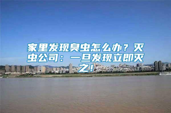 家里發(fā)現(xiàn)臭蟲怎么辦？滅蟲公司：一旦發(fā)現(xiàn)立即滅之！