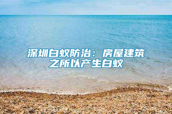 深圳白蟻防治：房屋建筑之所以產(chǎn)生白蟻