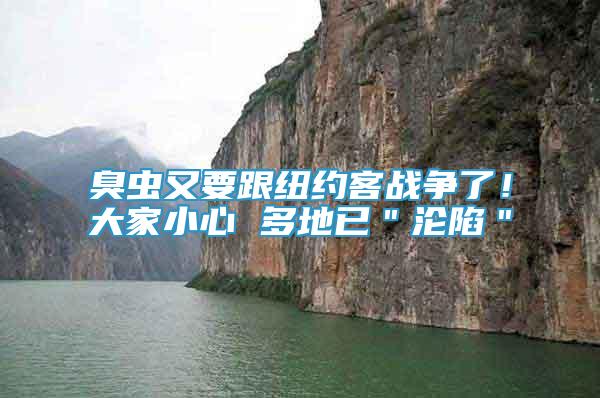臭蟲又要跟紐約客戰(zhàn)爭了！大家小心 多地已＂淪陷＂