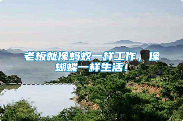 老板就像螞蟻一樣工作，像蝴蝶一樣生活！