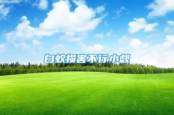 白蟻損害不行小覷