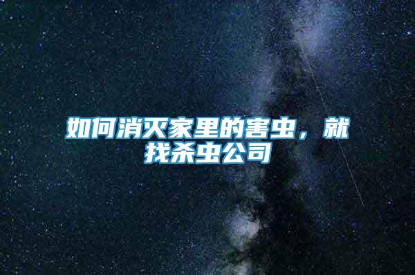 如何消滅家里的害蟲，就找殺蟲公司