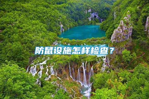防鼠設(shè)施怎樣檢查？