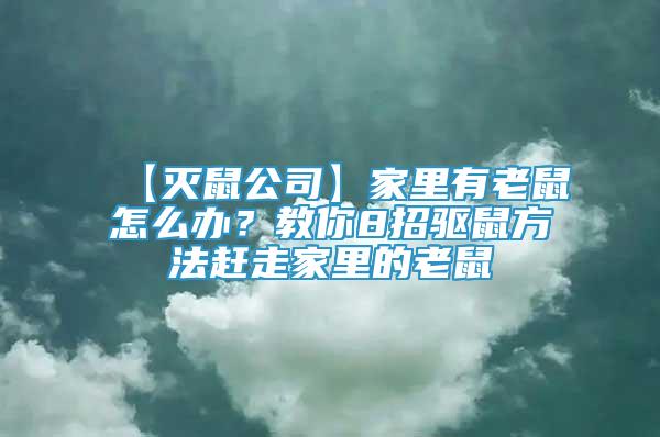 【滅鼠公司】家里有老鼠怎么辦？教你8招驅(qū)鼠方法趕走家里的老鼠