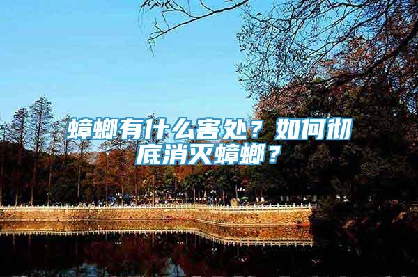 蟑螂有什么害處？如何徹底消滅蟑螂？