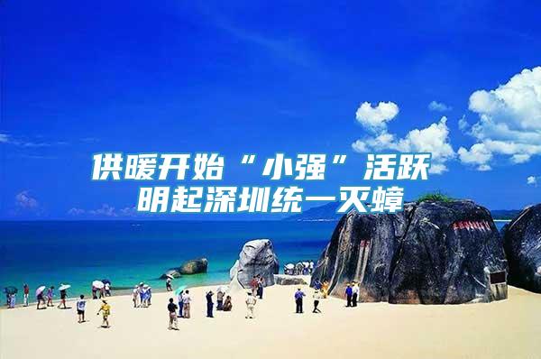 供暖開始“小強”活躍 明起深圳統(tǒng)一滅蟑