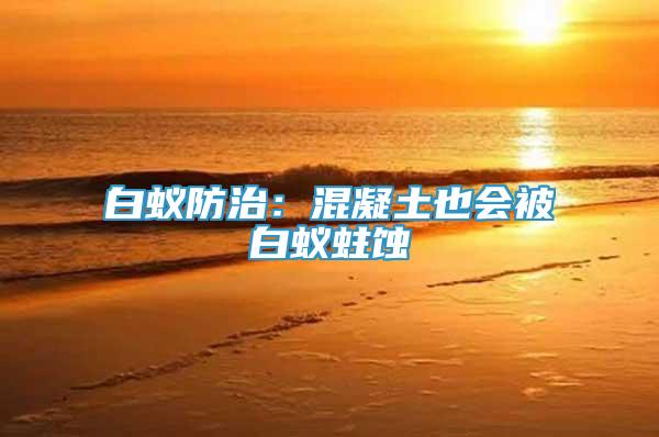 白蟻防治：混凝土也會被白蟻蛀蝕