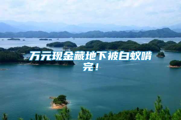 萬(wàn)元現(xiàn)金藏地下被白蟻啃完！