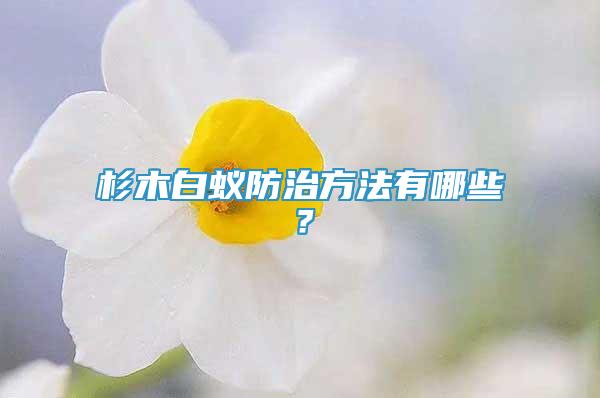 杉木白蟻防治方法有哪些？