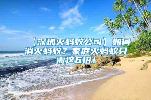 【深圳滅螞蟻公司】如何消滅螞蟻？家庭滅螞蟻只需這6招！