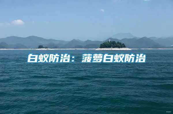 白蟻防治：菠蘿白蟻防治