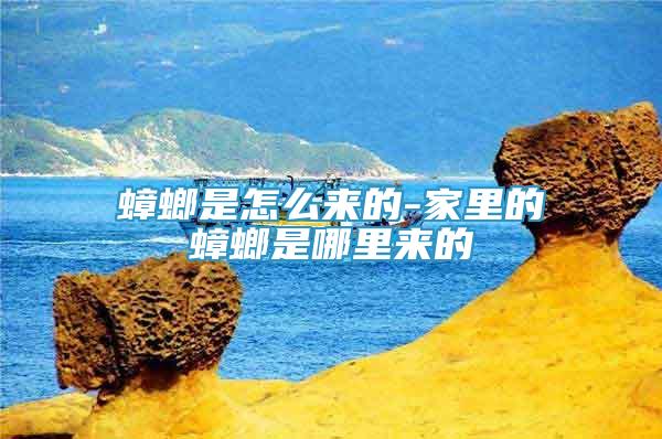蟑螂是怎么來的-家里的蟑螂是哪里來的