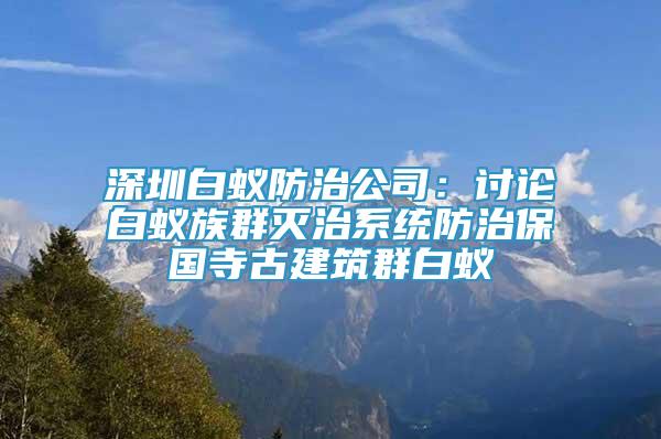 深圳白蟻防治公司：討論白蟻?zhàn)迦簻缰蜗到y(tǒng)防治保國(guó)寺古建筑群白蟻