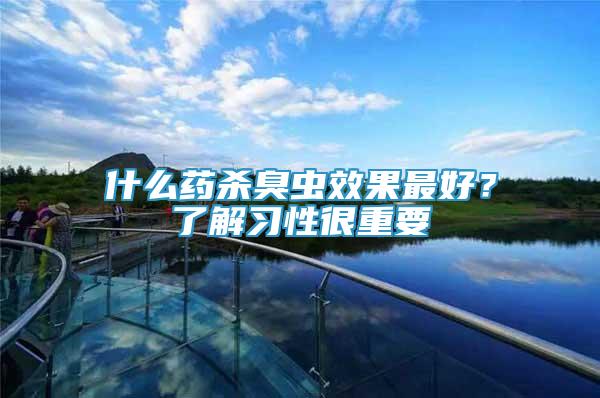 什么藥殺臭蟲效果最好？了解習性很重要