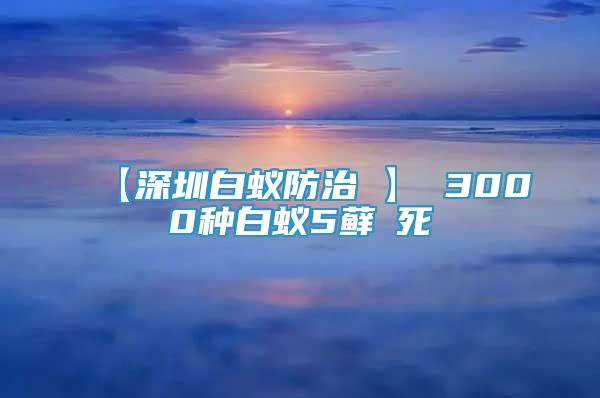 【深圳白蟻防治 】 3000種白蟻5蘚θ死