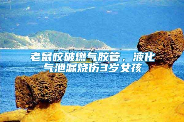 老鼠咬破燃氣膠管，液化氣泄漏燒傷3歲女孩