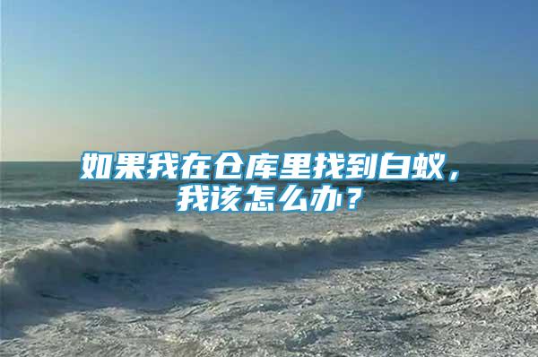 如果我在倉(cāng)庫(kù)里找到白蟻，我該怎么辦？