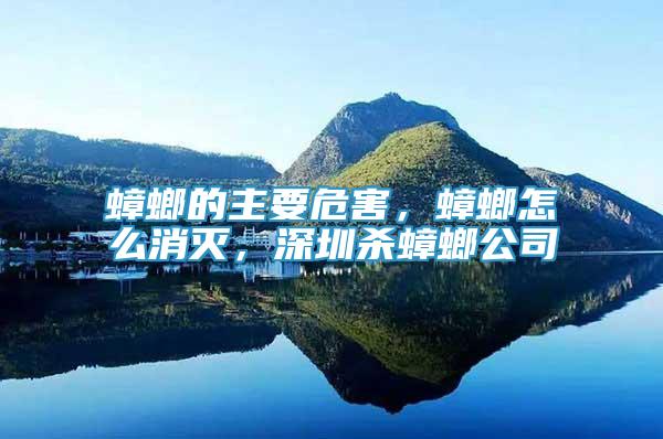 蟑螂的主要危害，蟑螂怎么消滅，深圳殺蟑螂公司