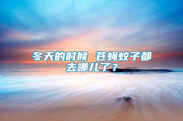 冬天的時候 蒼蠅蚊子都去哪兒了？