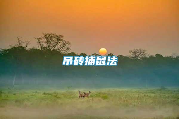 吊磚捕鼠法