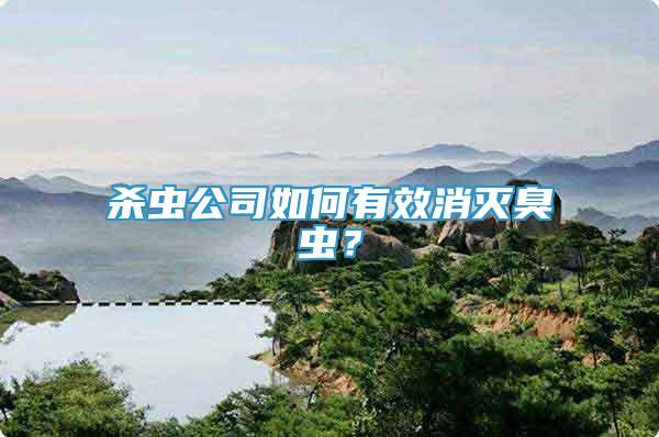 殺蟲(chóng)公司如何有效消滅臭蟲(chóng)？