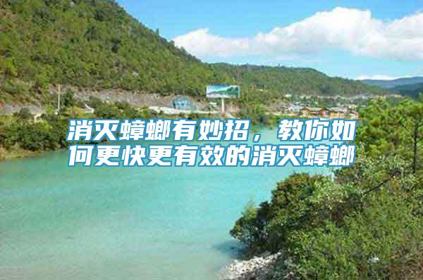 消滅蟑螂有妙招，教你如何更快更有效的消滅蟑螂