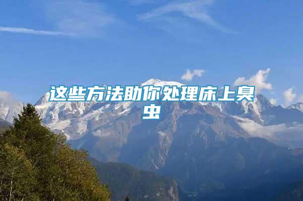 這些方法助你處理床上臭蟲