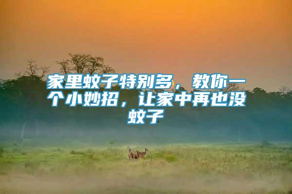 家里蚊子特別多，教你一個小妙招，讓家中再也沒蚊子