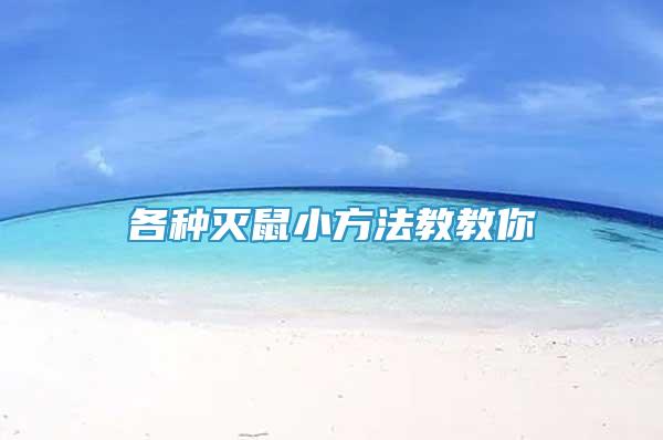 各種滅鼠小方法教教你