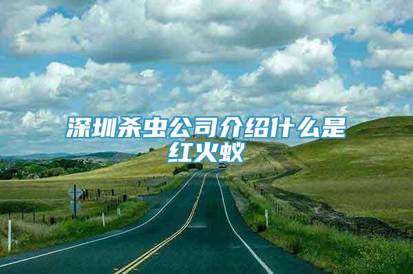 深圳殺蟲(chóng)公司介紹什么是紅火蟻