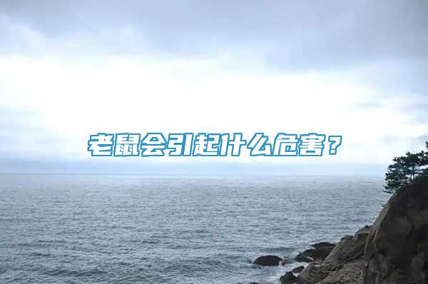 老鼠會(huì)引起什么危害？