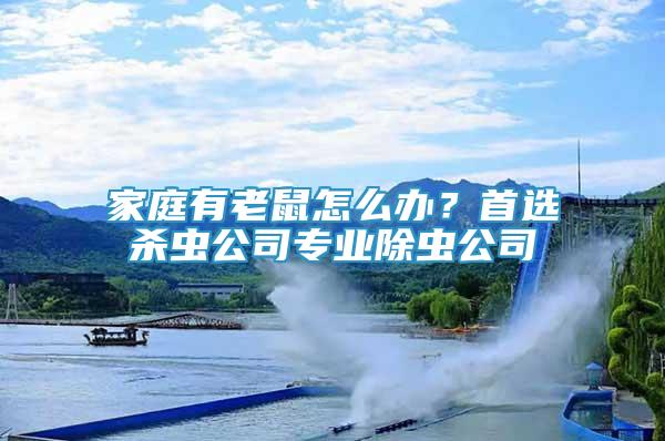 家庭有老鼠怎么辦？首選殺蟲公司專業(yè)除蟲公司