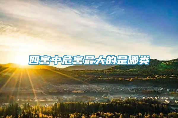 四害中危害最大的是哪類